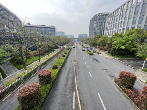 閔行區新增8條精品道路，累計創建33條，道路設施全面升級