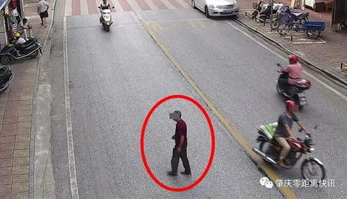 肇慶行人亂穿馬路遭曝光，道路設施問題引發關注