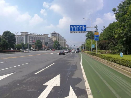 回應市民關切，龍洲路沿線路口交通設施迎升級，道路安全再添新保障