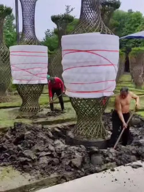 巨無霸紫薇造型樹震撼登場，金牌苗木人誠信供應精品綠化苗木